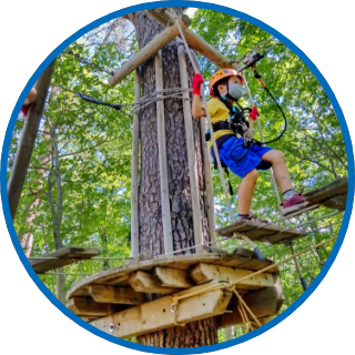 アクティビティ